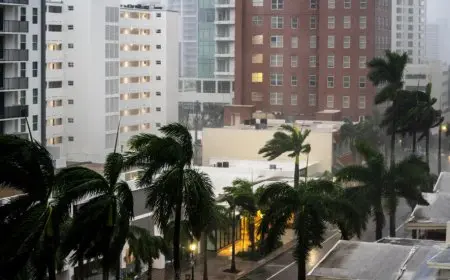 إحصائية جديدة لضحايا إعصار ميلتون في ولاية فلوريدا