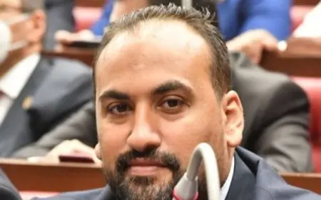 النائب محمد الرشيدي: قمة مصر وإريتريا والصومال تعزز من جهود خلق مناخ قوي للتنمية