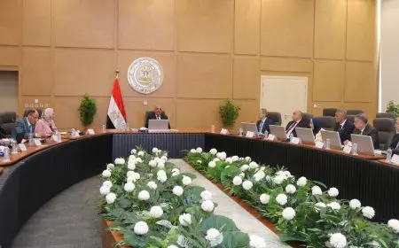 وزير الكهرباء: خطة شاملة ومتكاملة لرفع كفاءة منظومة الطاقة