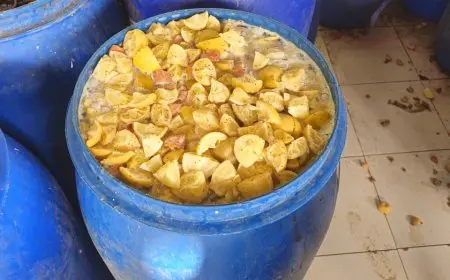 الدقهلية: إعدام 65 طن من مخللات غير صالحة للاستهلاك الآدمى