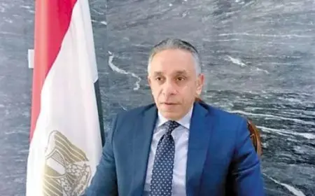 سفير مصر في بيروت: القرار اللبناني يجب أن يأتي من الداخل.. والظروف ضاغطة لانتخاب رئيس
