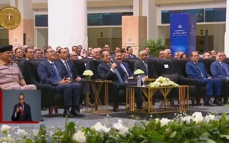 الرئيس السيسي عن تطوير قطاع النقل: عملناه وإحنا عارفين إننا هنعاني منه