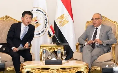 مصر واليابان تتفقان على تعزيز التعاون في مواجهة تحديات المياه والمناخ