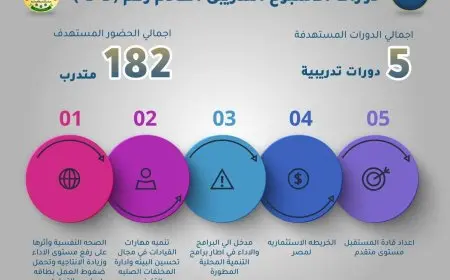 وزيرة التنمية المحلية: تنفيذ 5 دورات تدريبية بمركز سقارة يستفيد منها 182 متدربا