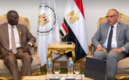 مصر والسودان: تنسيق مشترك في تشغيل السدود لتعظيم الاستفادة من مياه النيل