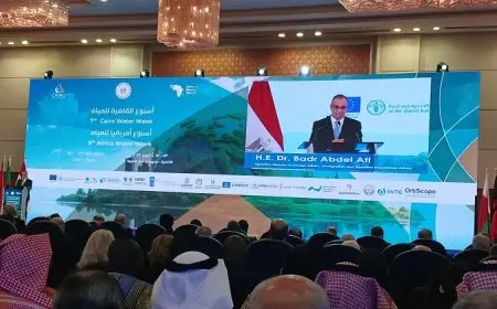 وزير الخارجية: مصر تتمسك بحقها المشروع في الحفاظ على المقدرات والمصالح الوجودية لشعبها