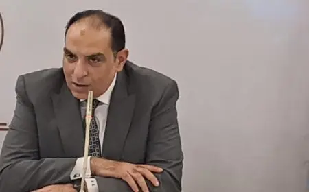 شعبة المستوردين تطالب بحل مشكلات المصانع المتعثرة لتحقيق استراتيجية تعميق الصناعة