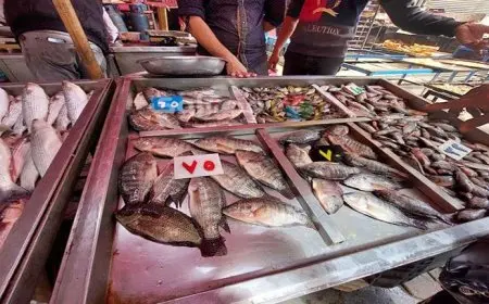 85 جنيهًا لكيلو البلطي.. أسعار السمك والمأكولات البحرية اليوم الأحد في سوق العبور