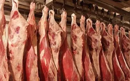 انخفاض أسعار اللحوم والفول والزيت في الأسواق اليوم الأحد (موقع رسمي)