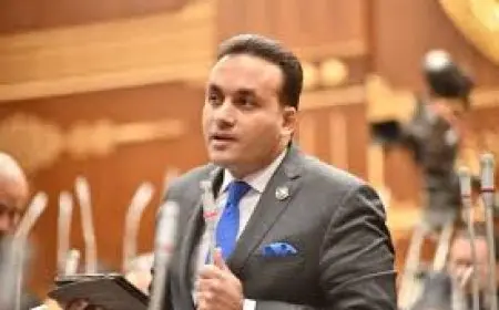 النائب عمرو فهمي: تعديلات قانون البناء تقضي على العشوائية.. وتسهم في التنمية العمرانية المستدامة