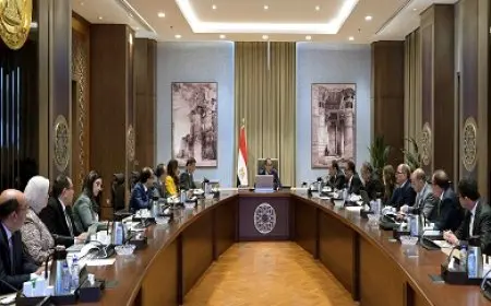 الحكومة تُدبّر التمويل اللازم لشراء الأقطان من المزارعين