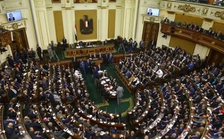 محمد أنس جعفر: قدمنا مشروعا لتعديل قانون إنشاء مجلس النواب يتيح تنظيم زياراته للسجون بالإخطار فقط