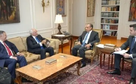 وزير الخارجية: التعاون بمجال الربط الكهربائي يعكس قوة الشراكة بين مصر واليونان