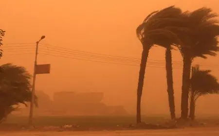 أمطار تضرب مصر.. تغيرات مفاجئة في حالة الطقس خلال الساعات الماضية