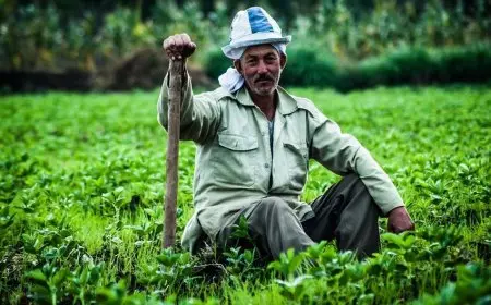 متحدث الزراعة يكشف تفاصيل مبادرة «معاك في الغيط» لتوعية الفلاح المصري