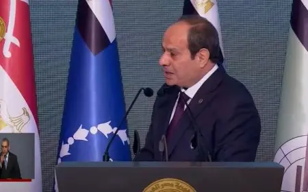 الرئيس السيسي: إقامة الدولة الفلسطينية المستقلة يدخل المنطقة في مرحلة جديدة مختلفة