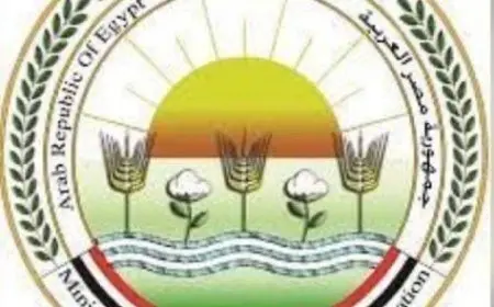 شركات تتعاقد مع الزراعة كوسيط للإعلان عن طرح أراض واستصلاح للبيع.. الوزارة تكشف الحقيقة