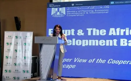 المشاط: التنمية الأفريقي ضخ 1.46 مليار دولار للقطاع العام والخاص لتمويل 4 قطاعات في عامين