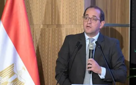 وزير المالية:6 مشروعات جديدة بالمشاركة مع القطاع الخاص تتجاوز 27 مليار جنيه