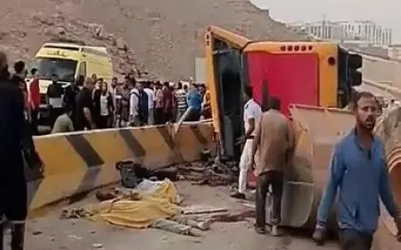 شيخ الأزهر يُعزِّي أسر حادث طلاب حادث أتوبيس جامعة الجلالة.. ويدعو بالشفاء العاجل للمصابين