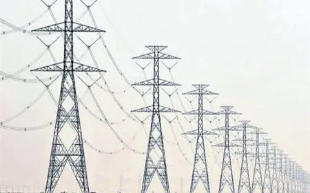 كيف تطورت العلاقات التجارية بين مصر والسعودية على مدار 30 عاما؟