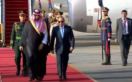 قيادي بمستقبل وطن: زيارة ولي العهد السعودي لمصر تعزز من حجم العلاقات الوطيدة بين البلدين