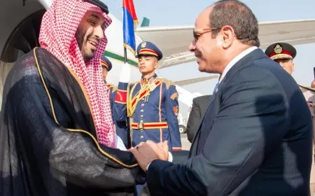 الرئيس السيسي وولي العهد السعودي يشهدان توقيع اتفاقية تشجيع وحماية الاستثمارات المتبادلة