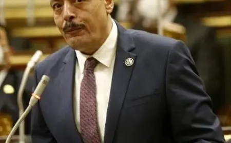 النائب أشرف أمين: قرارات المجلس الوطني للتعليم ستكون إلزامية