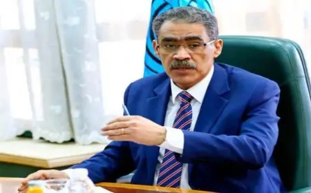 ضياء رشوان: رسائل الرئيس السيسي في الندوة التثقيفية للقوات المسلحة تدعو المصريين للاطمئنان