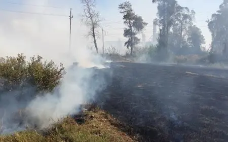 التفاصيل الكاملة لحملة جهاز البيئة لمواجهة السحابة السوداء