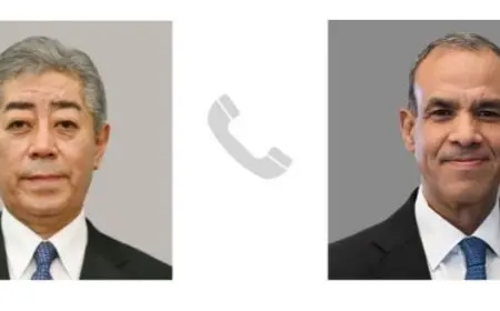 وزير الخارجية: نتطلع لفتح مجالات جديدة للتعاون الاقتصادي بين مصر واليابان