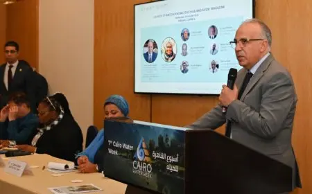 وزير الري: قطاع المياه الإفريقي يواجه العديد من التحديات