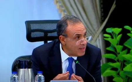 وزير الخارجية: مصر تتحمل أعباء جسيمة جراء استضافة 10 ملايين أجنبي