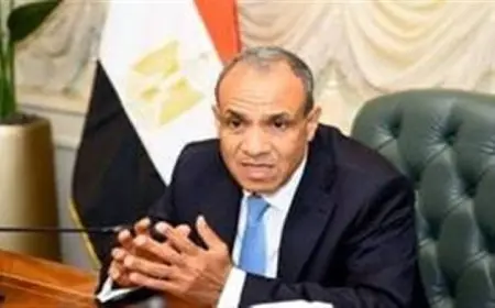 وزير الخارجية: الجهود المصرية مستمرة لوقف الحرب في السودان