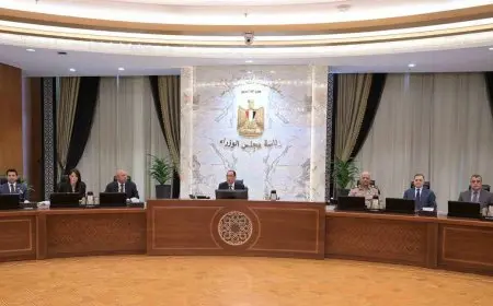 مجلس الوزراء يعتمد مقترحا بتأسيس آلية تخصص لتمويل دراسة وتنفيذ المشروعات التنموية بدول حوض النيل