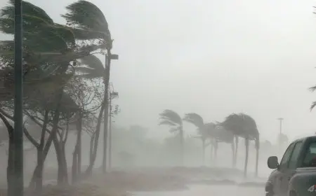 حالة الطقس اليوم الخميس.. أمطار تضرب البلاد وتغير مفاجئ في درجات الحرارة