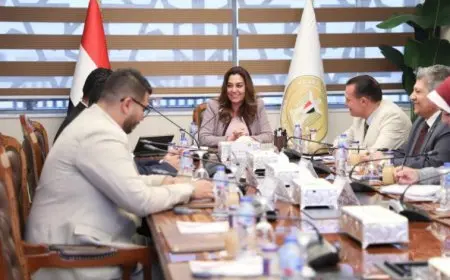 التنمية المحلية: توحيد جهود الجمعيات ومؤسسات المجتمع المدني لدعم الفئات المختلفة من ذوي الهمم