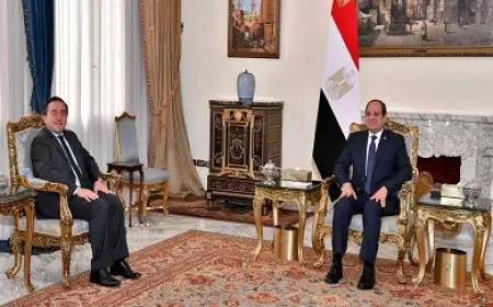 السيسي ووزير خارجية إسبانيا يؤكدان ضرورة التوصل إلى تهدئة شاملة للأوضاع في غزة ولبنان