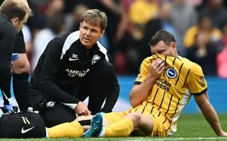 انتكاسة صغيرة تُبعد جيمس ميلنر عن برايتون لعدة أسابيع