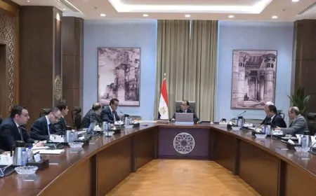 مدبولي يشدد على ضرورة متابعة وضمان استدامة توافر الدواء في السوق