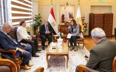 وزيرة التنمية المحلية تستقبل عددا من أعضاء لجان الإدارة المحلية والشباب والشئون التشريعية بمجلس النواب