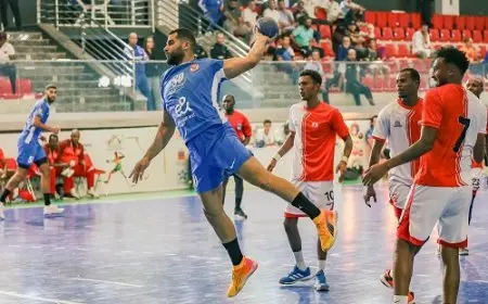 مادسن يضع برنامج تجهيز «رجال يد الأهلي» لمواجهة الزمالك