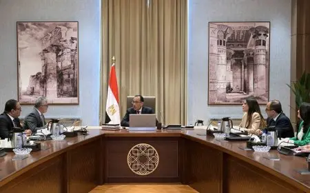 مدبولي: اهتمام حكومي باتخاذ الخطوات التنفيذية لتوطين عدد من الصناعات المهمة