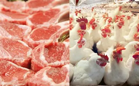 ارتفاع أسعار اللحوم والدواجن والجبن الرومي اليوم الجمعة (موقع رسمي)