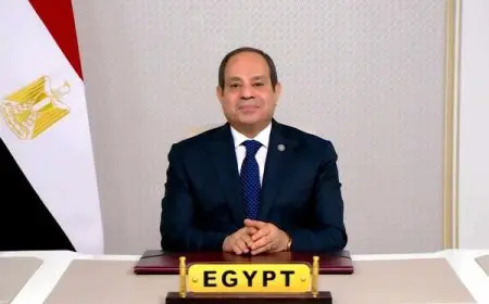 مصر تسير بخطى واثقة على طريق الإصلاح الاقتصادي.. ننشر نص كلمة السيسي أمام منتدى أعمال تجمع البريكس