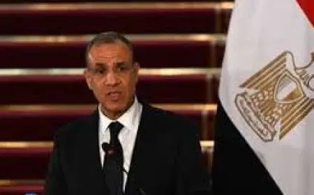 وزير الخارجية: مصر ليست ضد حق دول حوض النيل في التنمية