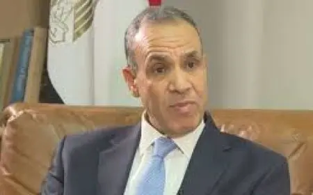 وزير الخارجية: هناك أخبار سارة الفترة المقبلة عن الاستثمار السعودي بمصر