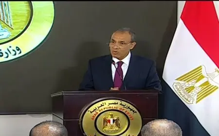 وزير الخارجية: تطوير العلاقات مع دول القرن الإفريقي ليس موجها ضد أحد