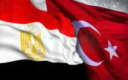 وزير الخارجية: رغبة شديدة من الشركات التركية في ضخ مزيد من الاستثمار بمصر