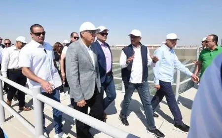 مدبولي: تطوير ما يقرب من 60 محطة صرف صحي في الصعيد